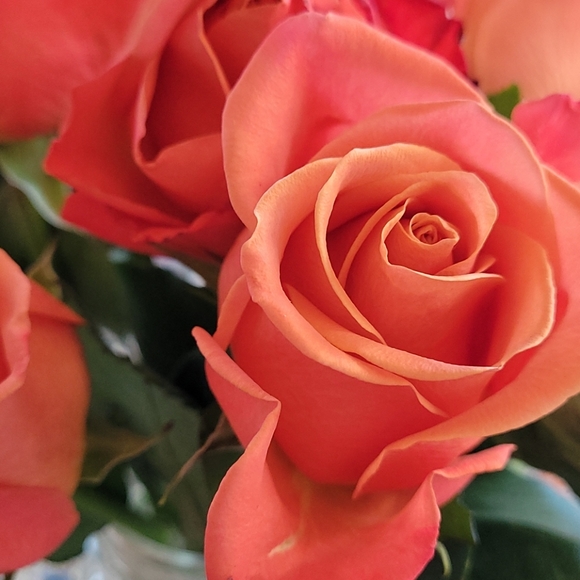 Meet your Posher, Christine - Picture 2 of 2